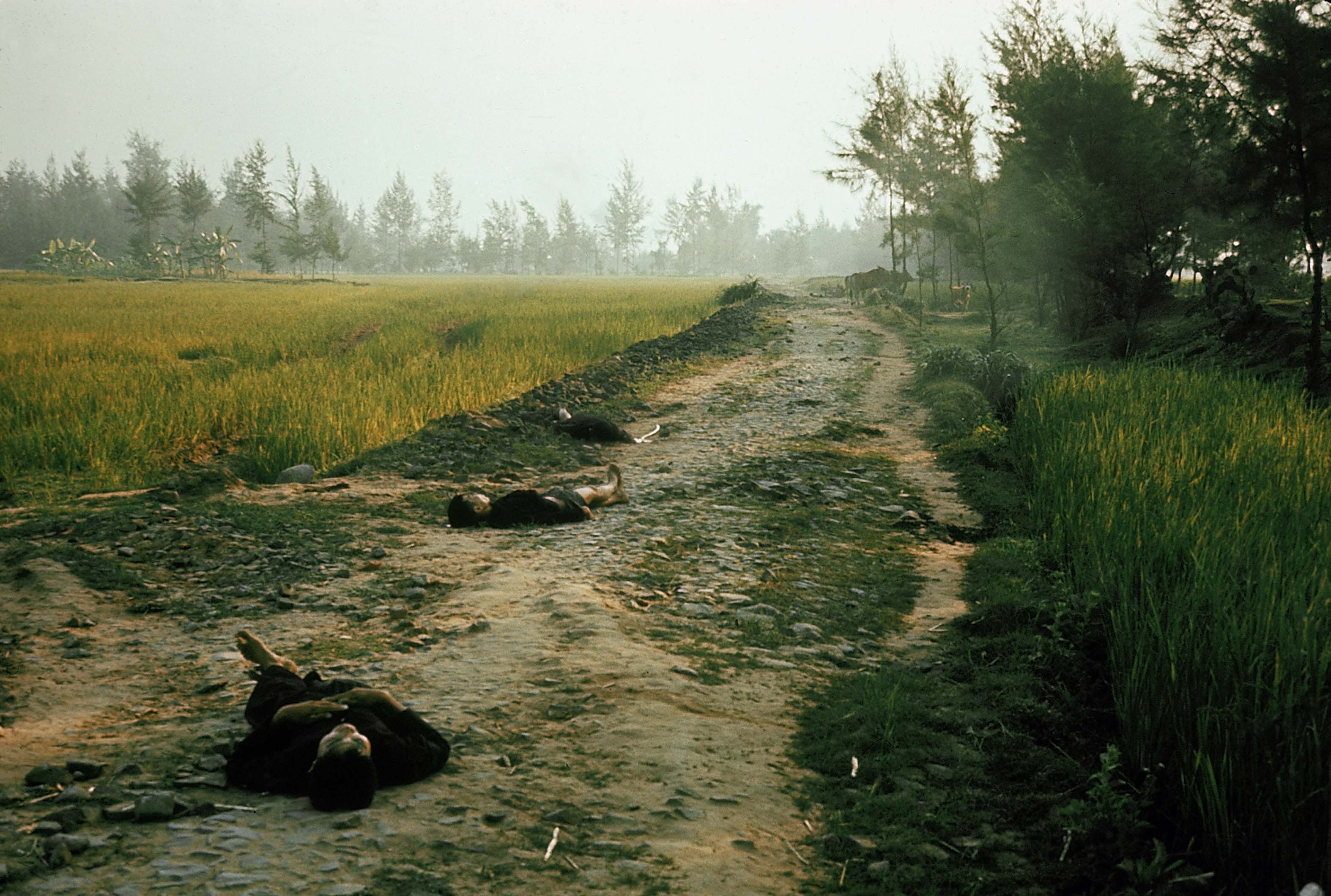 Ronald L. Haeberle. The My Lai Massacre, 1968