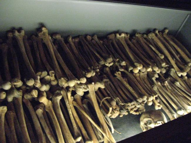 Alfredo Jaar, <em>We Wish to Inform You That We Didn't Know</em> [Deseamos informarte de que no lo sabíamos], 2010