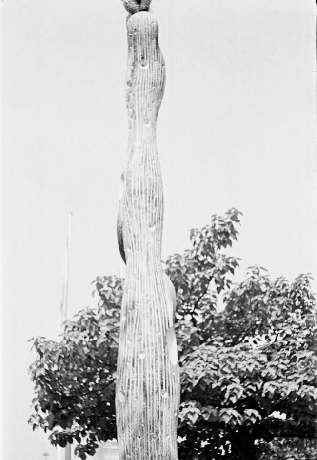 Vistas del Pabellón de España en la Exposición Internacional de las Artes y las Técnicas para la Vida Moderna