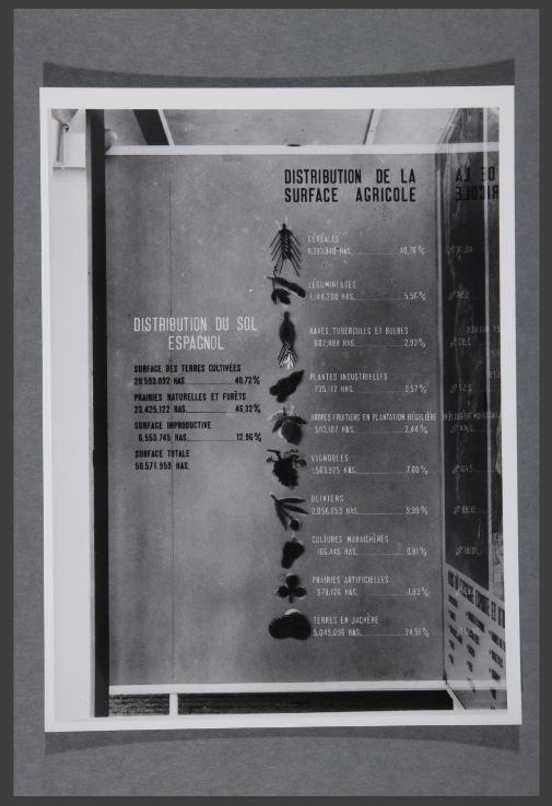 Exposition: panneau sur l'agriculture espagnole