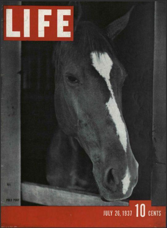 Picasso de España pinta el bombardeo de Guernica para la exposición de París