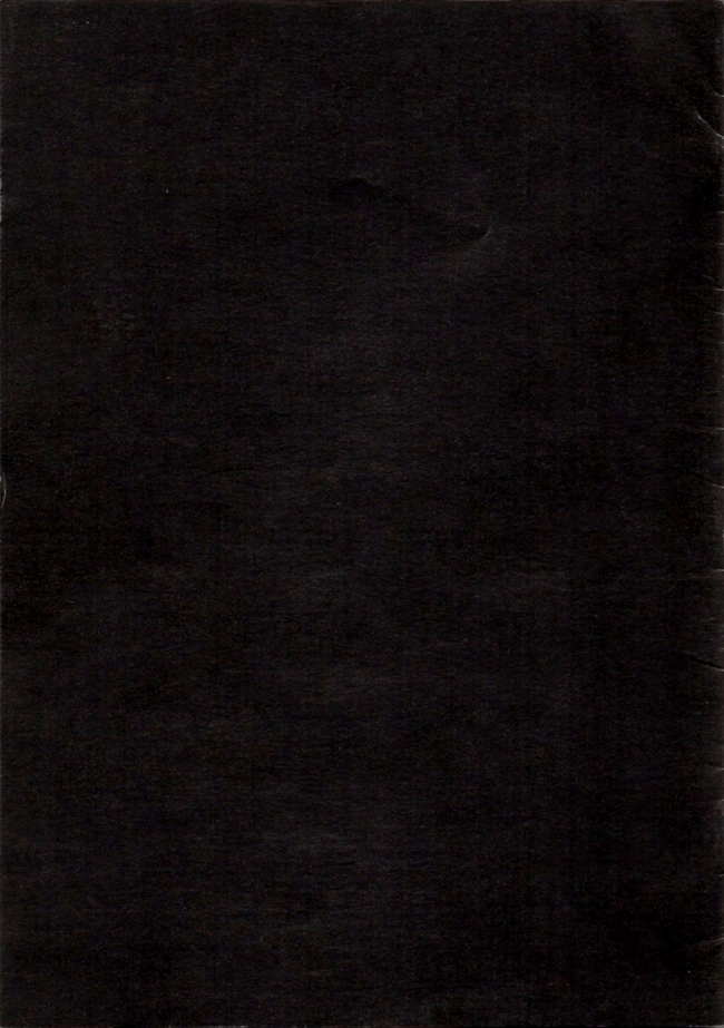 Folleto de la Plataforma de Reflexión sobre Políticas Culturales, <em>It’s like WORK, which is not to everybody’s liking</em> [Es como EL TRABAJO, que no le puede gustar a todo el mundo], Berlín, 2011