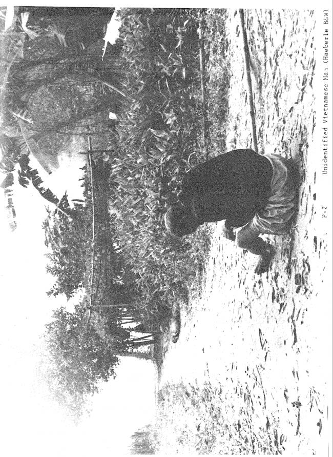 <em>Report of the Department of the Army Review of the Preliminary Investigations into the My Lai Incident</em>, Department of the Army, Washington D.C., March 14, 1970