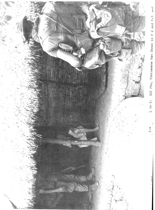 <em>Report of the Department of the Army Review of the Preliminary Investigations into the My Lai Incident</em>, Department of the Army, Washington D.C., March 14, 1970