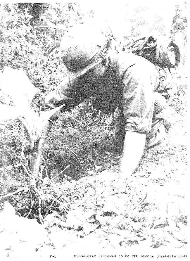 <em>Report of the Department of the Army Review of the Preliminary Investigations into the My Lai Incident</em>, Department of the Army, Washington D.C., March 14, 1970