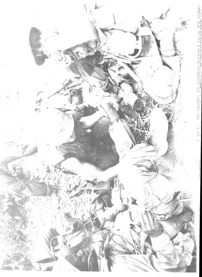 <em>Report of the Department of the Army Review of the Preliminary Investigations into the My Lai Incident</em>, Department of the Army, Washington D.C., March 14, 1970