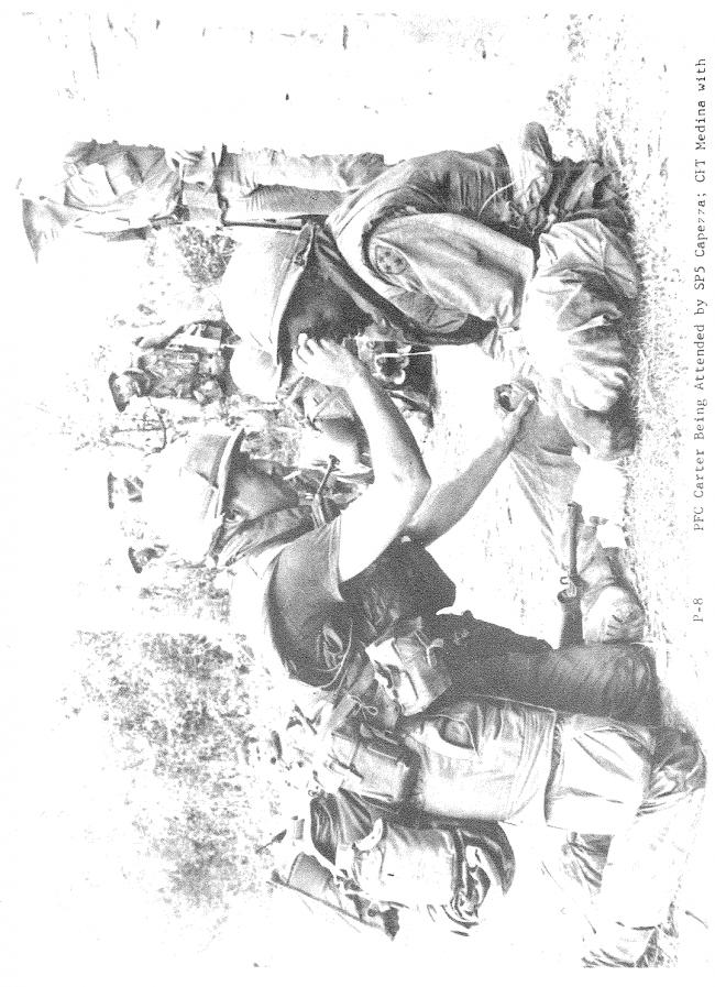 <em>Report of the Department of the Army Review of the Preliminary Investigations into the My Lai Incident</em>, Department of the Army, Washington D.C., March 14, 1970