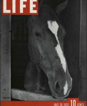 Picasso de España pinta el bombardeo de Guernica para la exposición de París