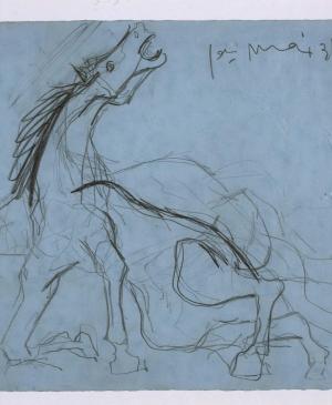 Estudio para el caballo (II). Dibujo preparatorio para Guernica