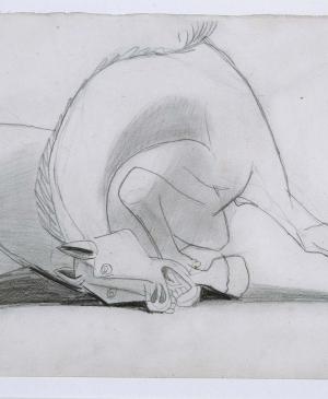 Study for the Horse [I]. Sketch for Guernica